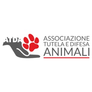 Associazione animali